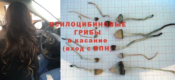 твердый Вязники