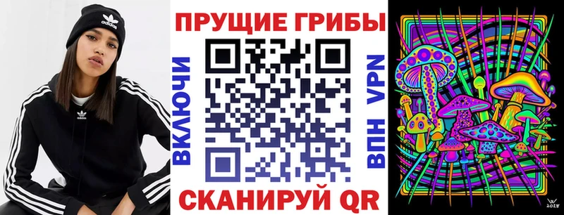 Галлюциногенные грибы мицелий Камень-на-Оби
